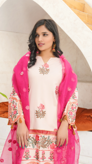 3-Piece  Stitched Suit Blush Pink  - PP00245