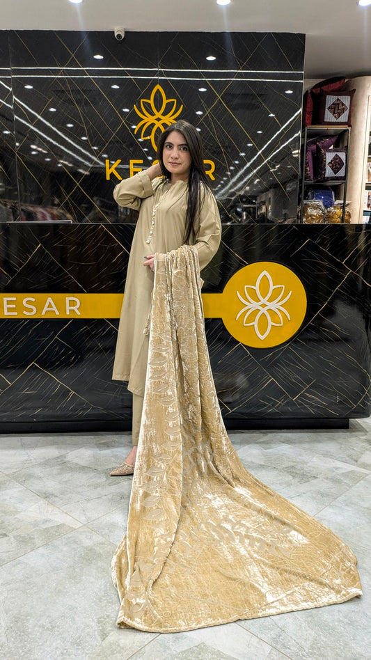 Embroided 3 Pc Suit (A&A)-PP00795