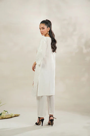 2 PC Embroidered suit - PP00159